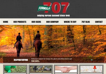 Website Design - formula707.com